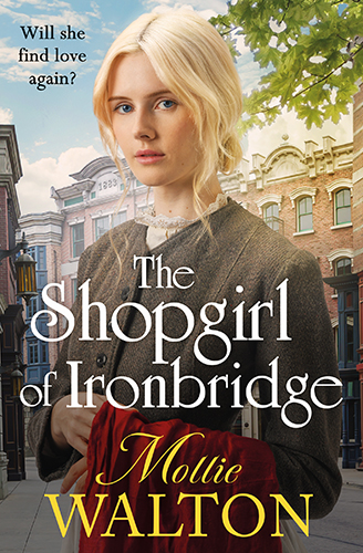 The Shopgirl Of Ironbridge