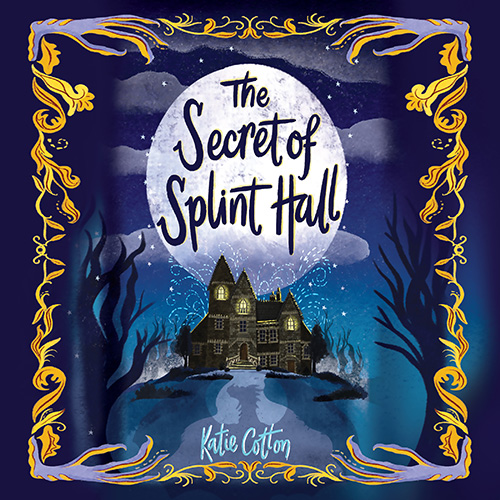 The Secret Of Splint Hall