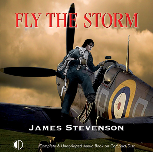 Fly The Storm