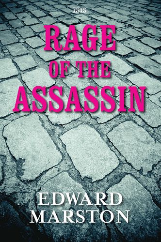 Rage Of The Assassin